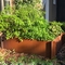 Stahlhochbeete Quadrat im Freien Corten für Gemüseblumen-Pflanzer-Rand