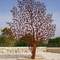 Humanoid Baum-Metall-Art Statue Rusty Outdoor Corten-Stahlskulptur