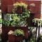 Vor verwitterte wand-Art Rustic Wall Hanging Flower-Töpfe Corten Stahl